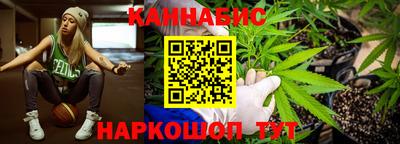 мдпв Боровичи