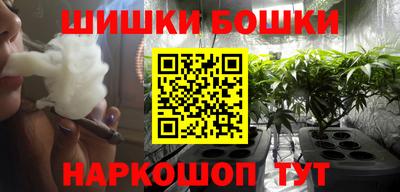 мдпв Боровичи