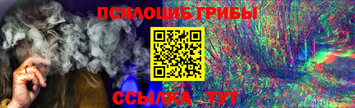 Псилоцибиновые грибы мухоморы Славянск-на-Кубани